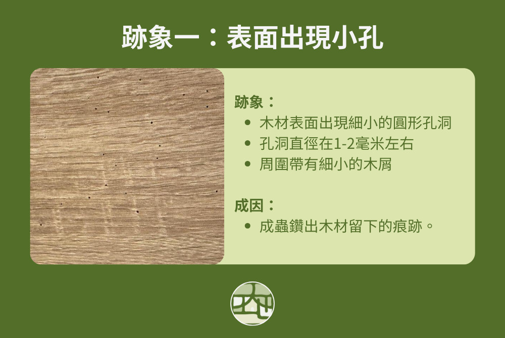 木製裝潢內有蟲跡象一:表面出現小孔