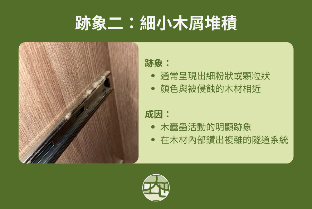 木製裝潢內有蟲跡象二:細小木屑堆積