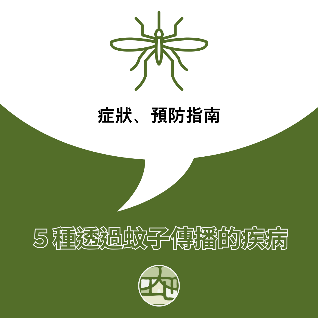 透過蚊子傳播的五個疾病：症狀、預防指南