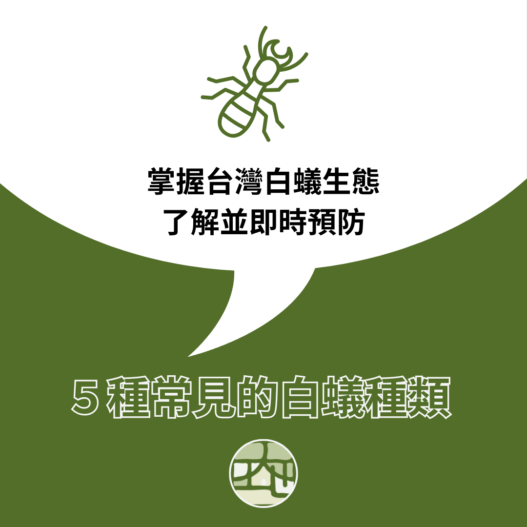掌握台灣白蟻生態，五種常見的白蟻種類