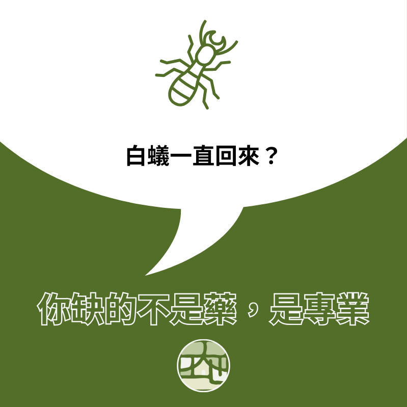 白蟻一直回來？你缺的不是藥，而是專業