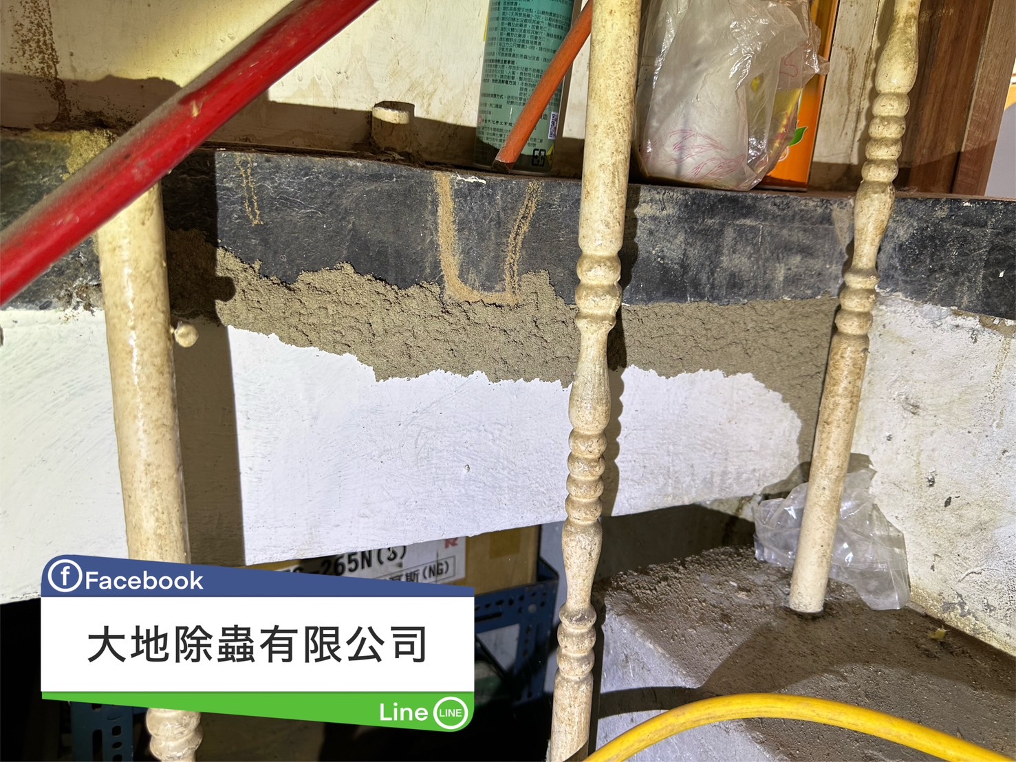 梯間白蟻土