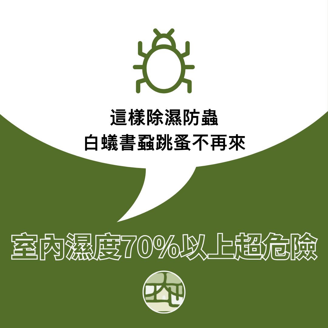 室內濕度70%以上超危險！這樣除濕防蟲，白蟻書蝨跳蚤不再來