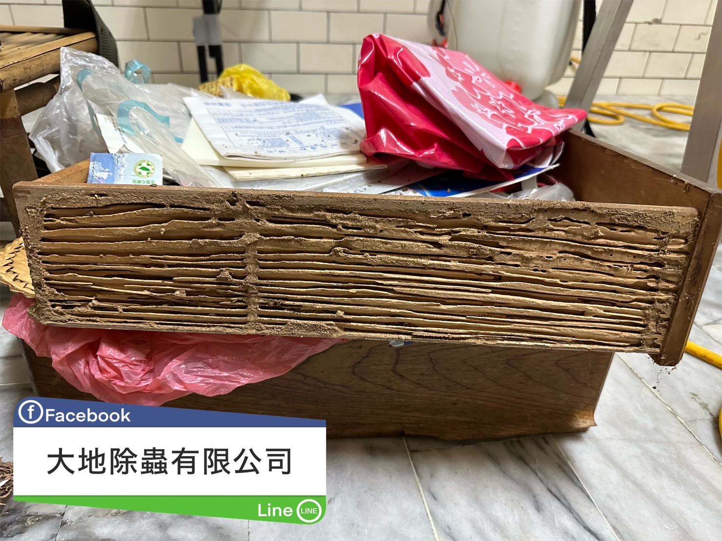 抽屜白蟻痕跡