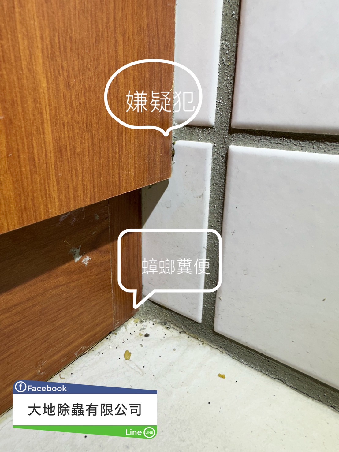角落蟑螂蹤跡
