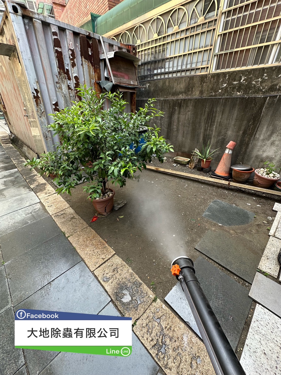 環境跳蚤防治01