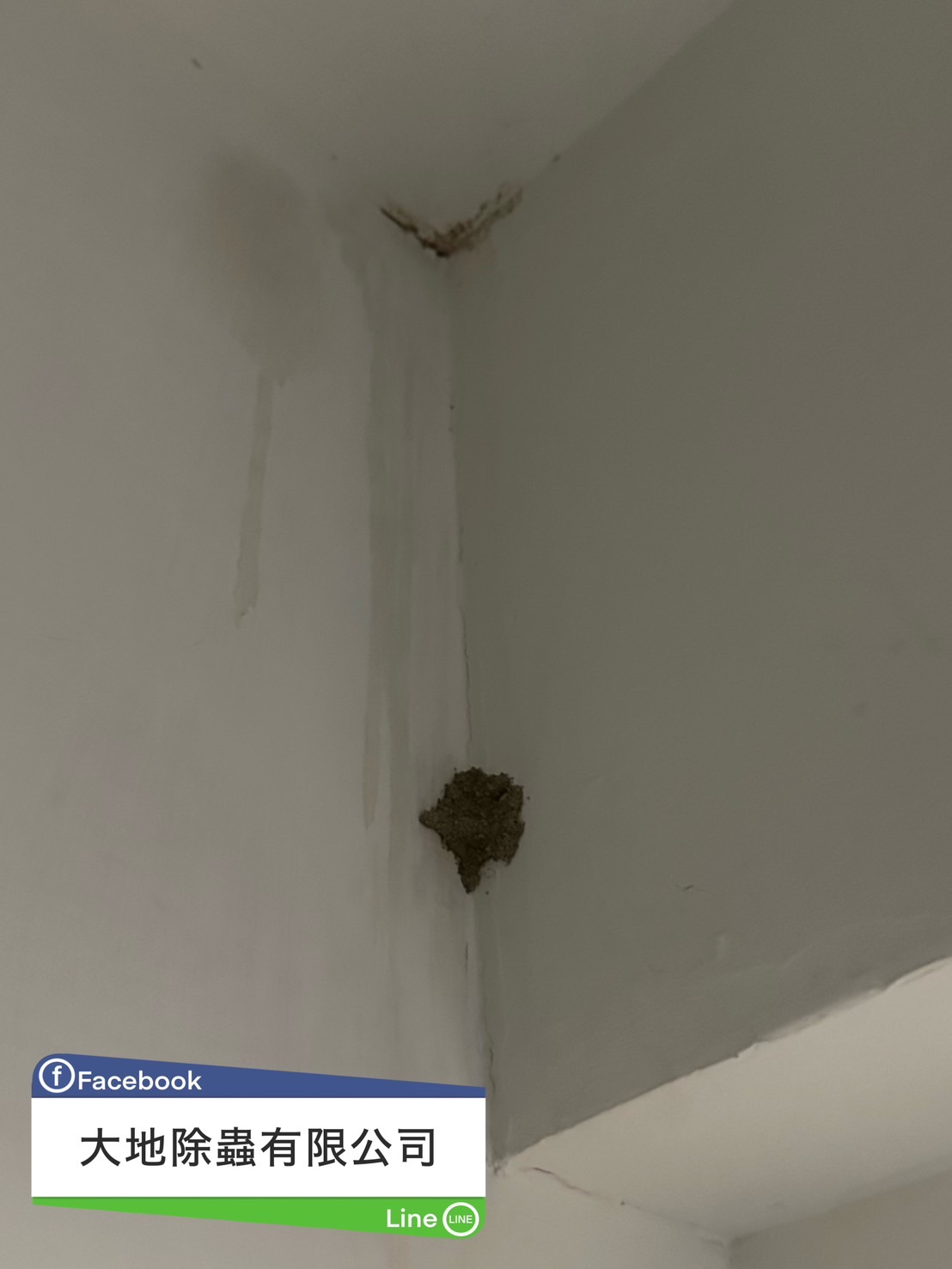 水泥裂縫白蟻土推