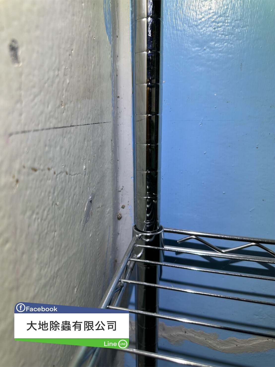 水泥裂縫白蟻蹤跡03