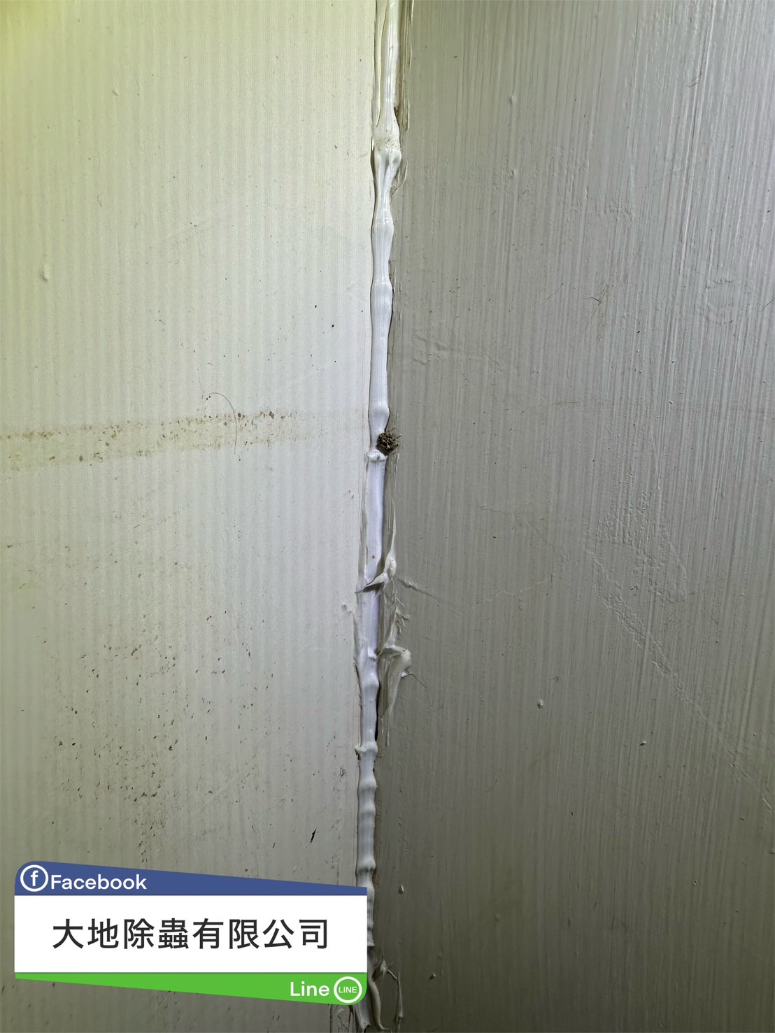 角落白蟻蹤跡03