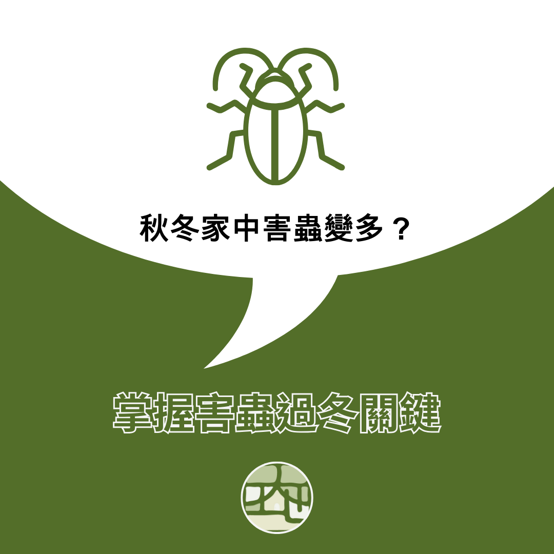 秋冬為什麼蟑螂變多？掌握害蟲過冬關鍵