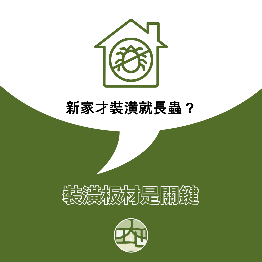 新家才裝潢就長蟲？裝潢蟲、白蟻常見跡象與裝潢除蟲要點一次整理