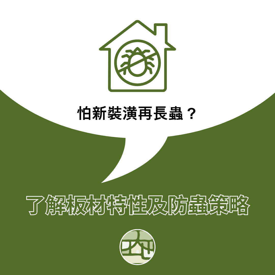 怕新裝潢再長蟲？先從裝潢板材怎麼選、木作怎麼防蟲開始下手